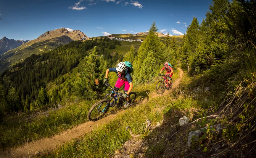 Two mountain bikers riding on a forested mountain trail with distant peaks