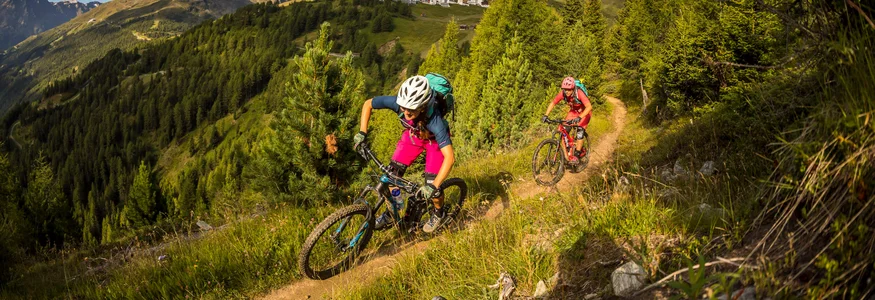 Two mountain bikers riding on a forested mountain trail with distant peaks
