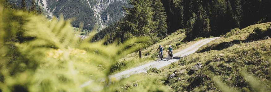 Two cyclists on forest trail with mountain scenery in the background