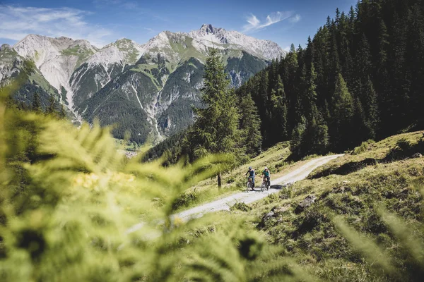 Zwei Radfahrer auf Waldweg mit Bergpanorama im Hintergrund