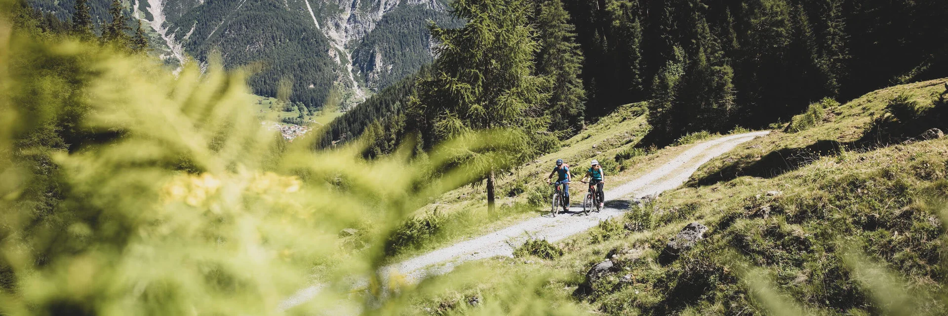 Zwei Radfahrer auf Waldweg mit Bergpanorama im Hintergrund