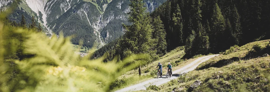 Bikeurlaub per Bahn © TVB St. Anton am Arlberg - Patrick Bätz Zwei Radfahrer auf Waldweg mit Bergpanorama im Hintergrund