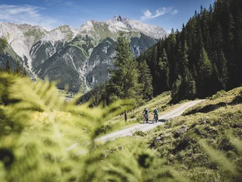 Two cyclists on forest trail with mountain scenery in the background