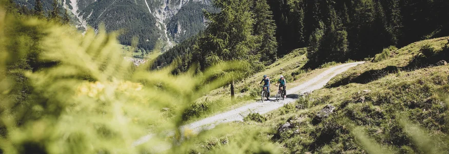 Zwei Radfahrer auf Waldweg mit Bergpanorama im Hintergrund