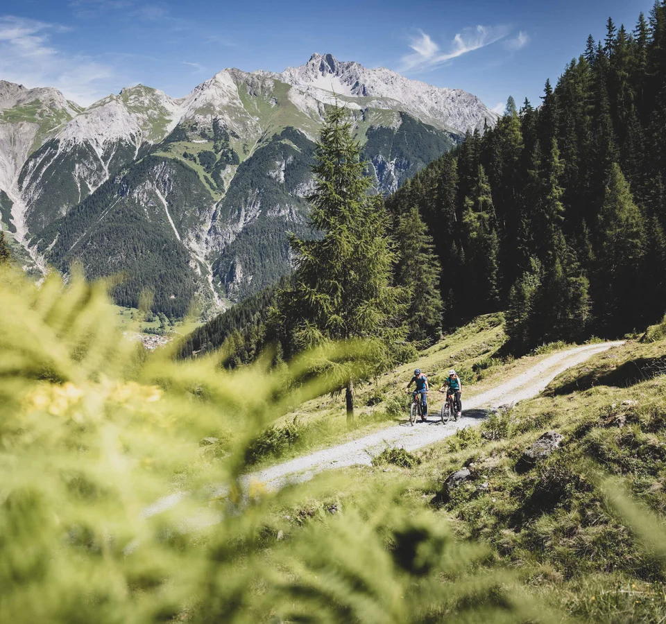 Zwei Radfahrer auf Waldweg mit Bergpanorama im Hintergrund
