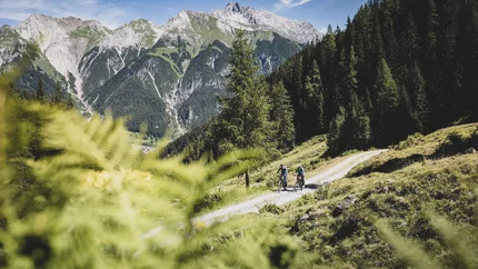 Zwei Radfahrer auf Waldweg mit Bergpanorama im Hintergrund