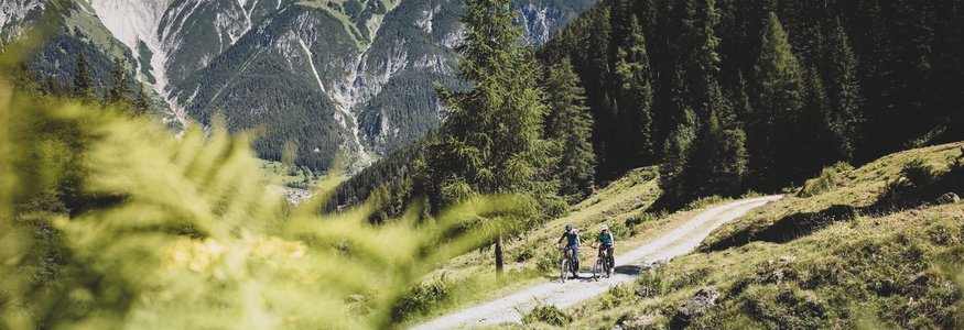 Zwei Radfahrer auf Waldweg mit Bergpanorama im Hintergrund