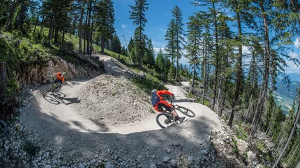 Mountainbiker fahren auf einem kurvigen Waldtrail bei sonnigem Wetter