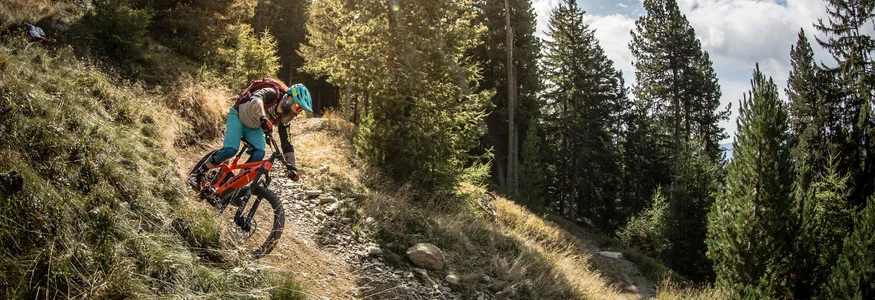 Mountainbiken im Herbst: 5 Top-Regionen für die Saisonverlängerung © Dennis Stratmann Mountainbiker auf einem steilen Waldweg bei sonnigem Wetter