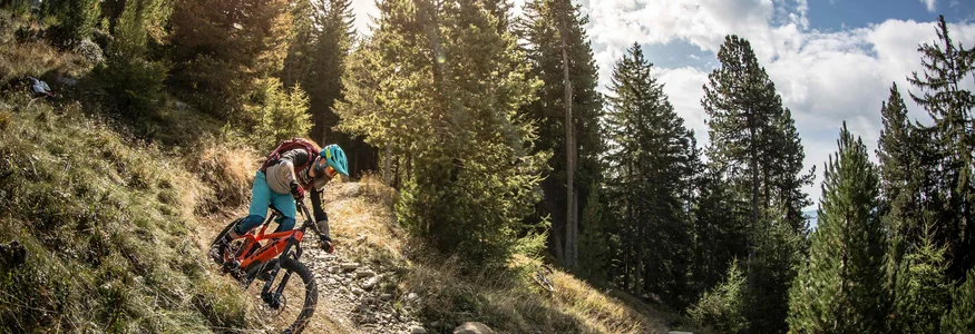 Mountainbiker auf einem steilen Waldweg bei sonnigem Wetter
