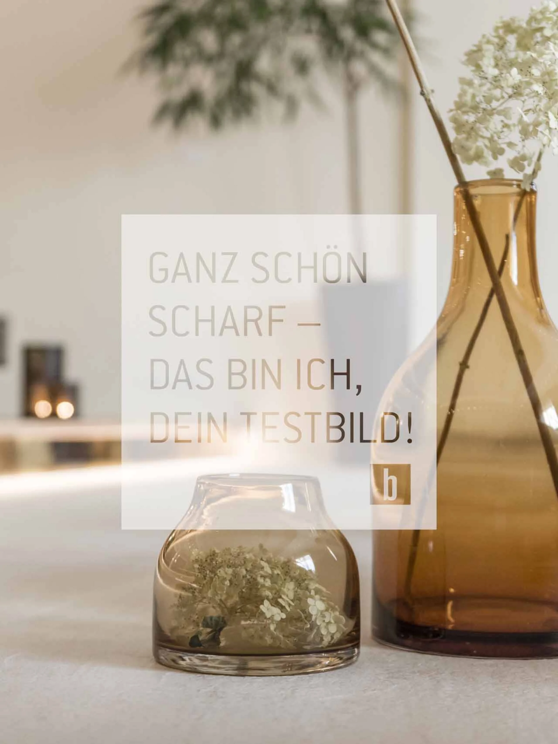 Allgemein