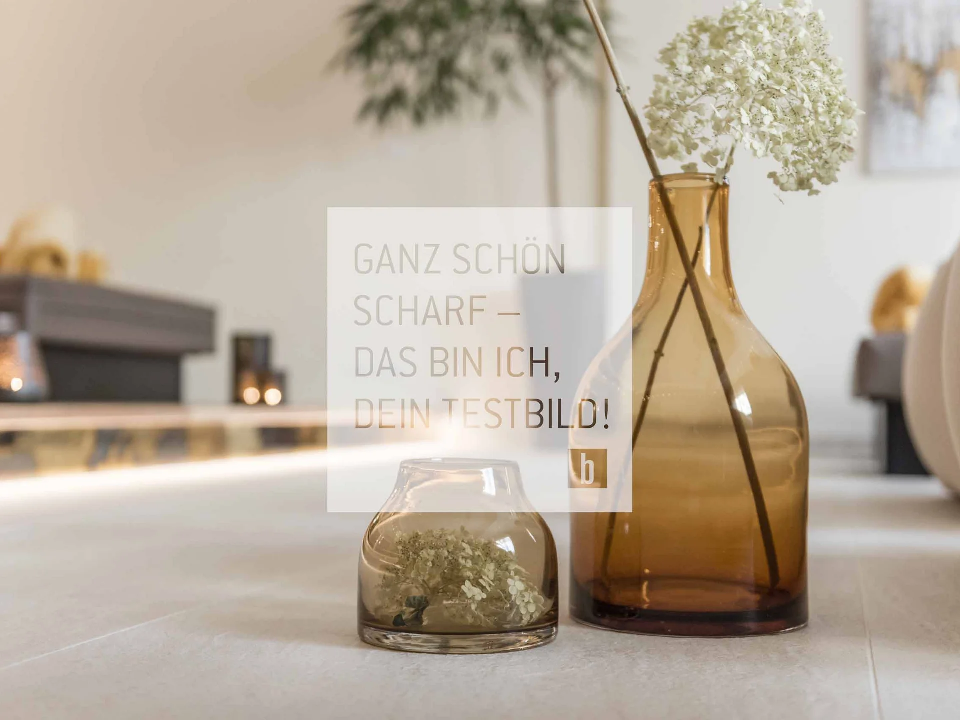 Allgemein