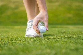 15. Charity Wine & Golf Cup / 4 nights Hand placing golf ball on tee on green grass
