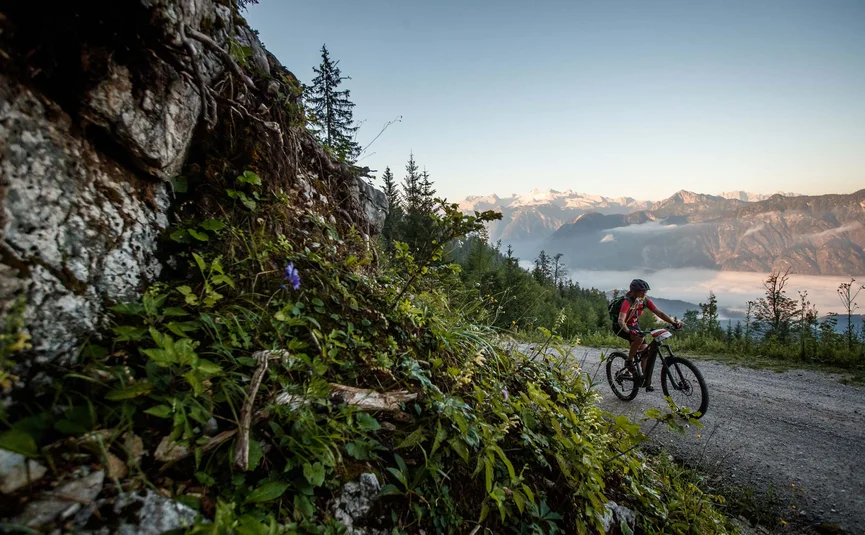 Mountainbiker fährt auf einem Waldweg mit Bergpanorama bei Sonnenaufgang