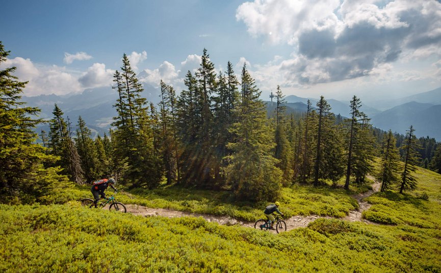 Two mountain bikers riding on a mountain trail through green forest