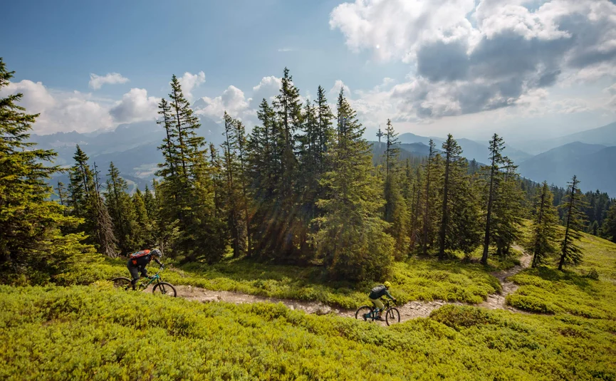Zwei Mountainbiker fahren auf einem Bergpfad durch grünen Wald