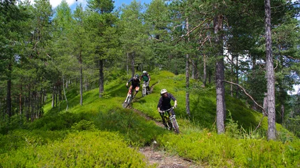 Drei Mountainbiker fahren auf einem schmalen Waldweg bergab