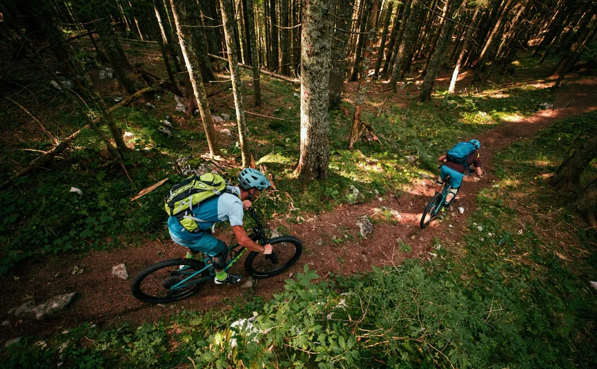 Zwei Mountainbiker auf einem Waldpfad bei sonnigem Wetter