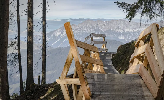 Houten wandelpad met reling in bergbos met uitzicht op bergen