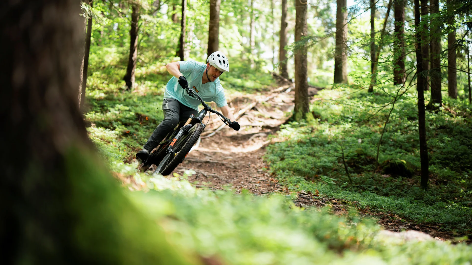 MTB-Bucket List für Slowenien © Slovenia Tourist Board - Rupert Fowler Mountainbiker fährt durch einen bewaldeten Wanderweg