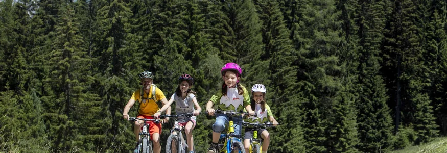 Familie fährt Mountainbikes auf Waldweg vor Bergkulisse