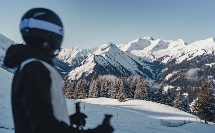 Skier looking at snowy mountains and pine forest