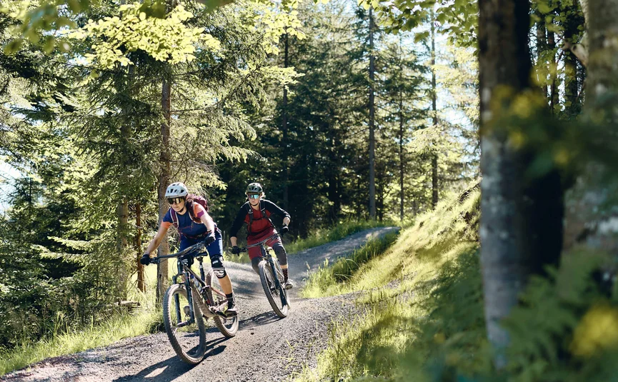 Two mountain bikers riding on a forest trail in sunshine