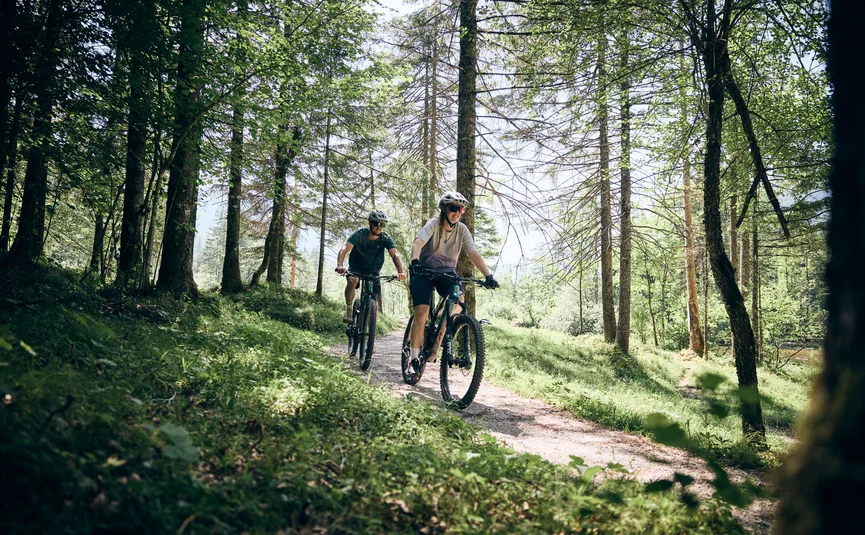 Two people mountain biking on a forest trail