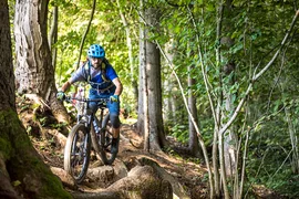 Mann mit blauem Helm fährt Mountainbike auf einem Waldweg mit Wurzeln und Felsen