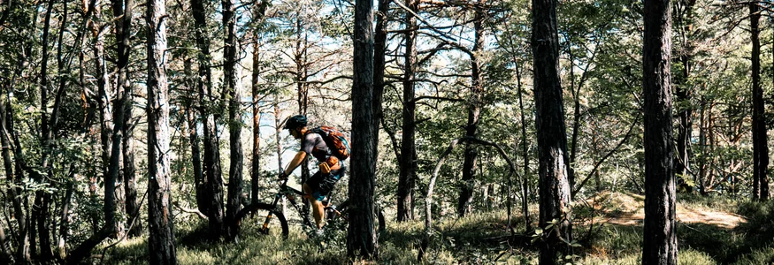Mountainbiker fährt durch einen bewaldeten Wanderweg im Sonnenlicht