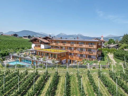 Hotel mit Weinberg und Bergen im Hintergrund bei klarem Himmel