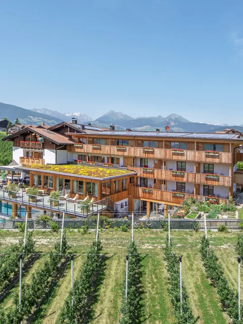 Hotel mit Weinberg und Bergen im Hintergrund bei klarem Himmel