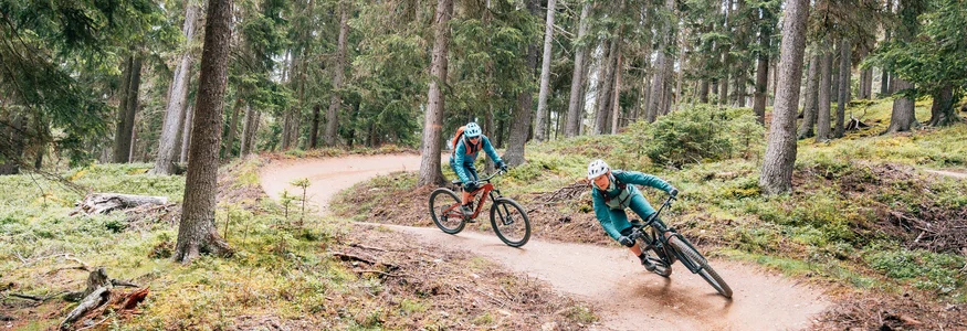 Zwei Mountainbiker fahren auf kurvigem Waldweg
