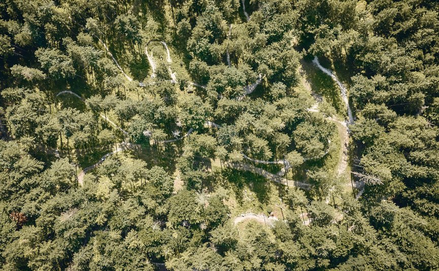 Aerial view of forest with winding trails through the trees