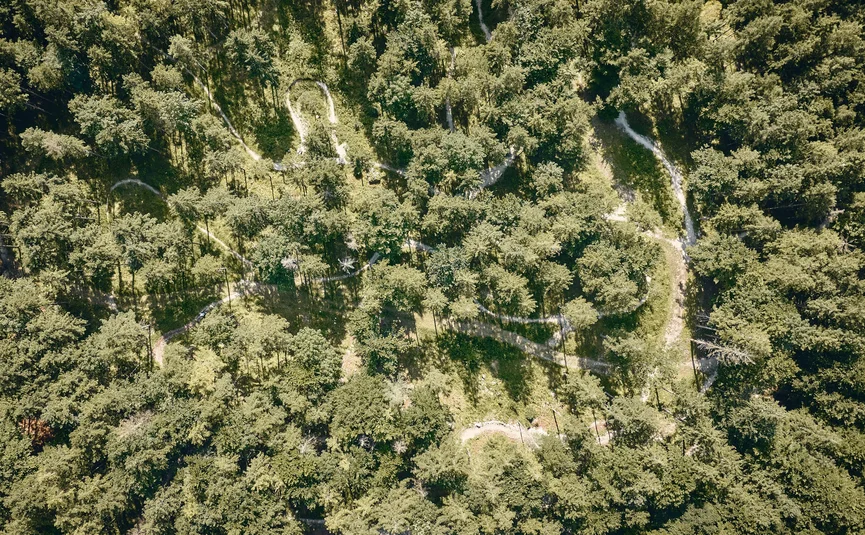 Aerial view of forest with winding trails through the trees
