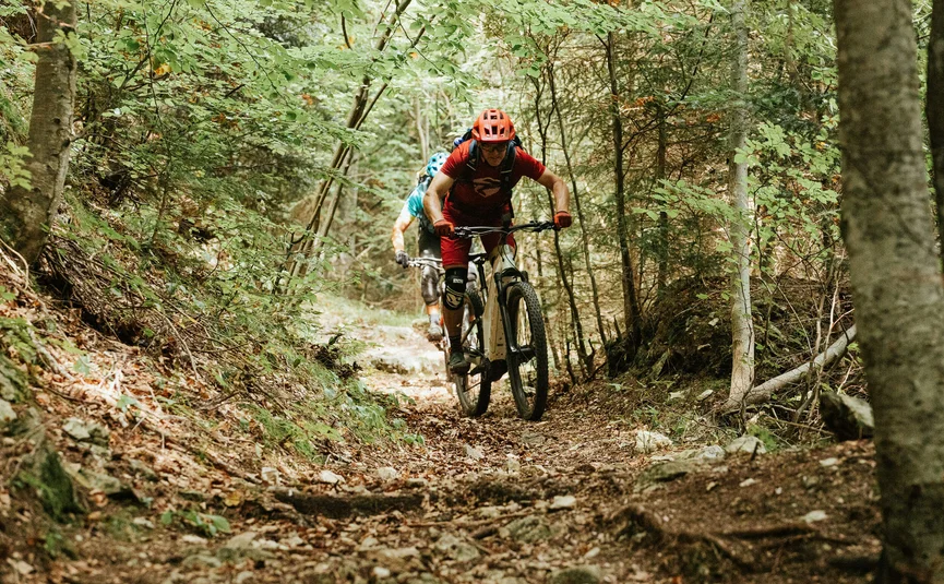 Mountain bikers riding on a rough forest trail surrounded by trees