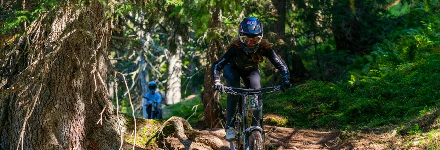 Zwei Mountainbiker fahren einen bewaldeten, wurzeligen Pfad hinab