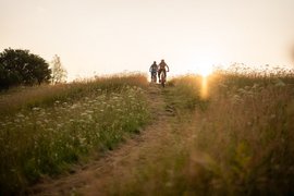 Two cyclists riding on a path through a flower field at sunset