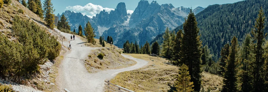 Zwei Mountainbiker überqueren eine Brücke auf einem Bergweg