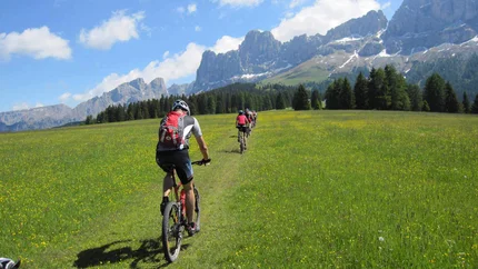 Groep mountainbiken op groene wei met beboste bergen en blauwe lucht