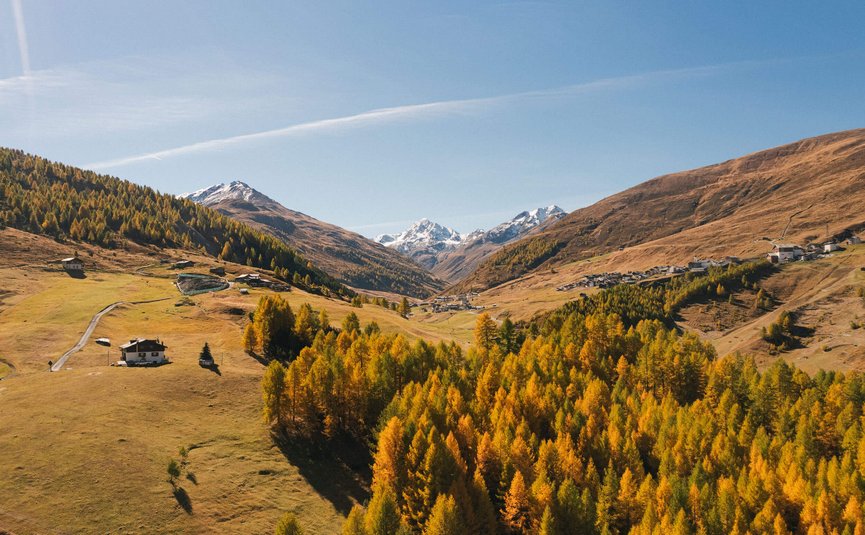 Mountain bike holidays in Livigno