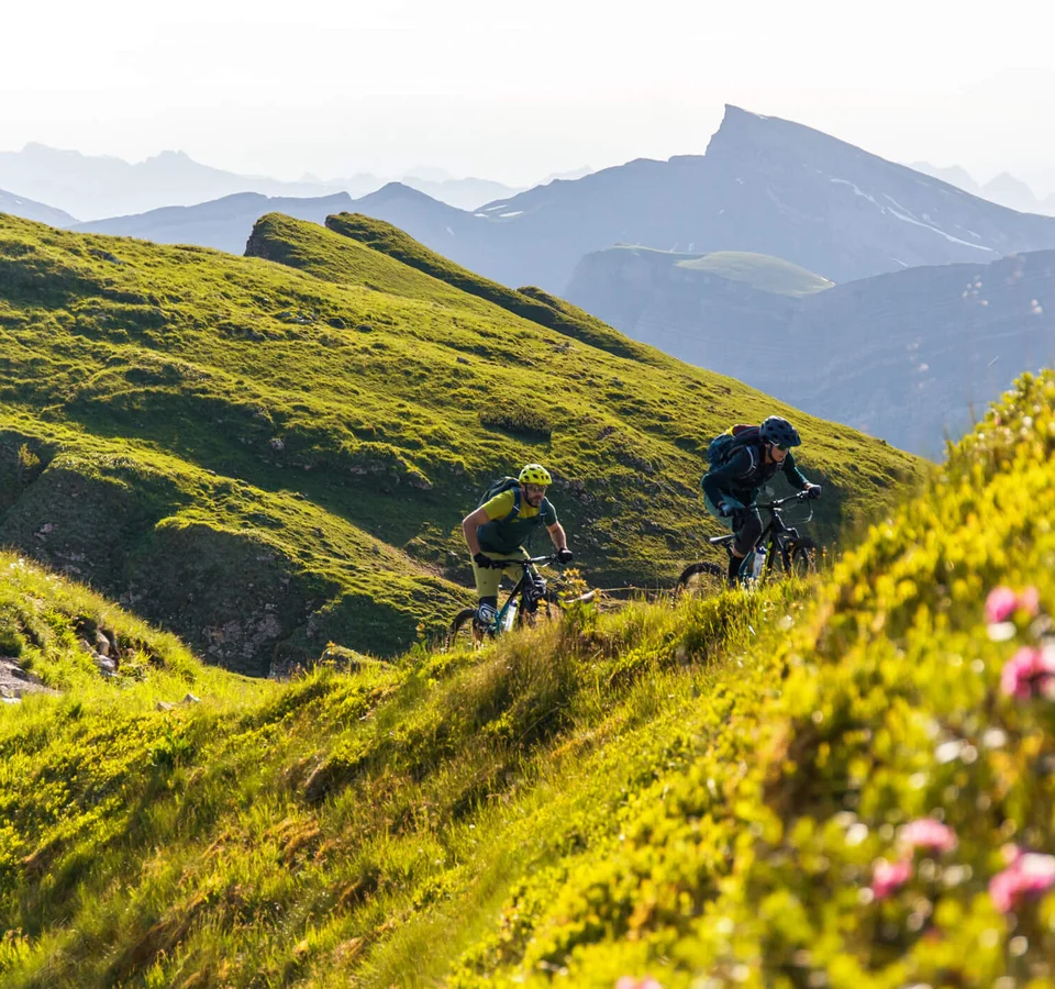 Best of Bregenzerwald © David Karg Zwei Mountainbiker fahren auf einem grasbewachsenen Bergpfad bei sonnigem Wetter
