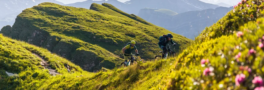 Zwei Mountainbiker fahren auf einem grasbewachsenen Bergpfad bei sonnigem Wetter