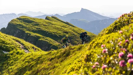 Zwei Mountainbiker fahren auf einem grasbewachsenen Bergpfad bei sonnigem Wetter