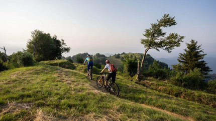 Zwei Mountainbiker fahren auf einem Pfad durch hügelige grüne Landschaft.