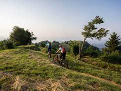 Zwei Mountainbiker fahren auf einem Pfad durch hügelige grüne Landschaft.