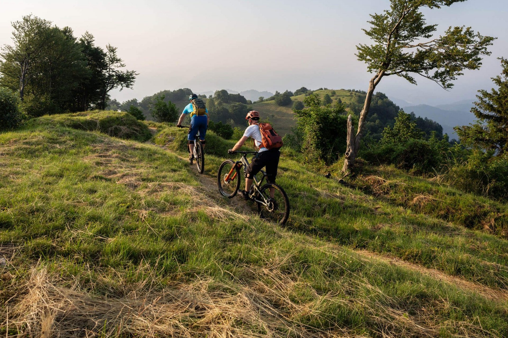 Zwei Mountainbiker fahren auf einem Pfad durch hügelige grüne Landschaft.