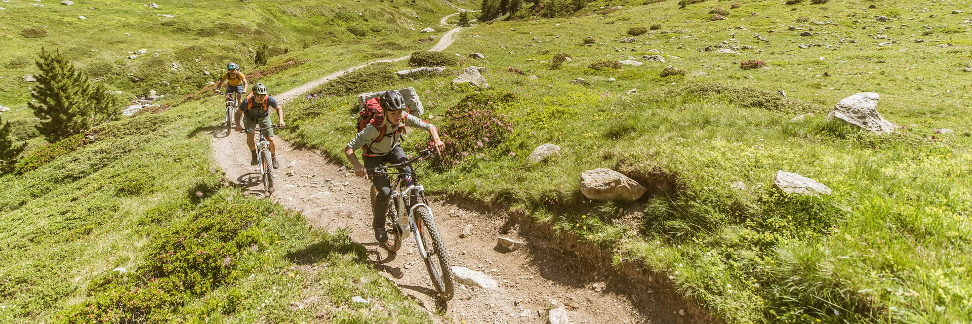 Drei Mountainbiker fahren auf schmalem Pfad durch grüne Berglandschaft