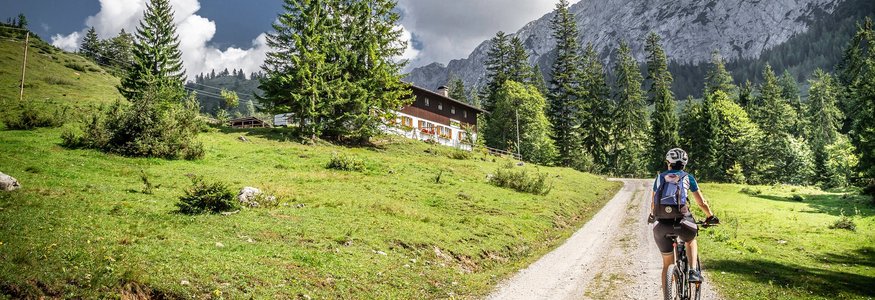Fahrradfahrer auf Bergweg mit Haus, Tannen und Bergen im Hintergrund