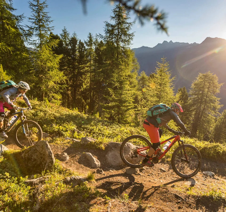 Zwei Mountainbiker fahren auf einem Waldweg mit Sonnenuntergang